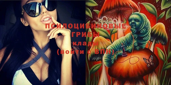 таблы Алексин