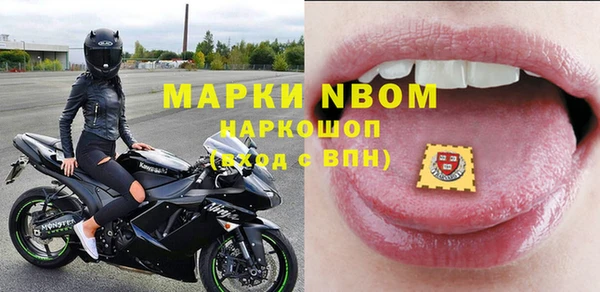 apvp Алзамай