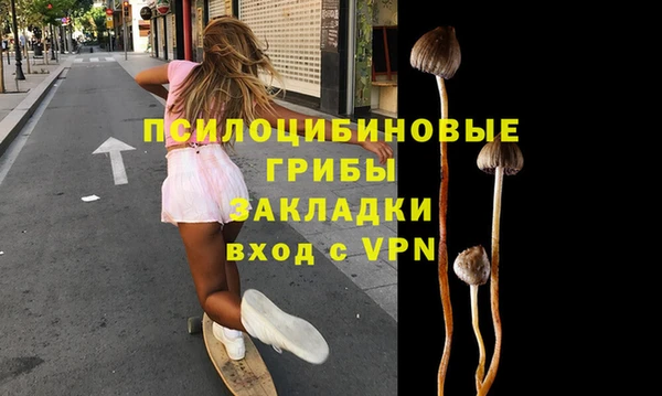 таблы Алексин