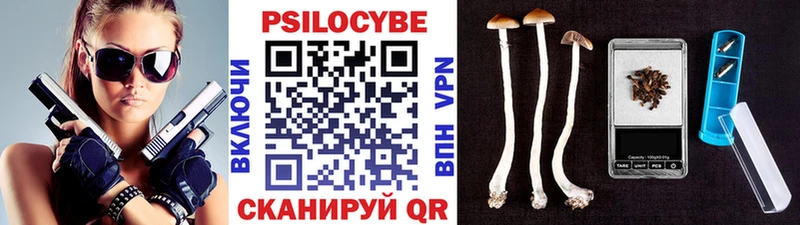 закладка Орёл Псилоцибиновые грибы ЛСД